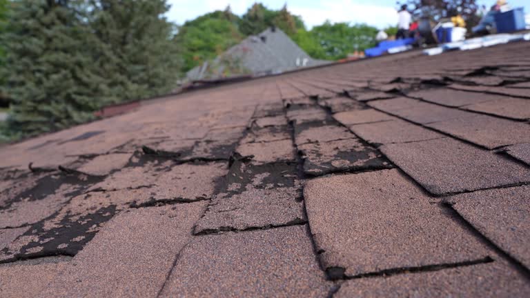 Steel Roofing in Gas City, IN